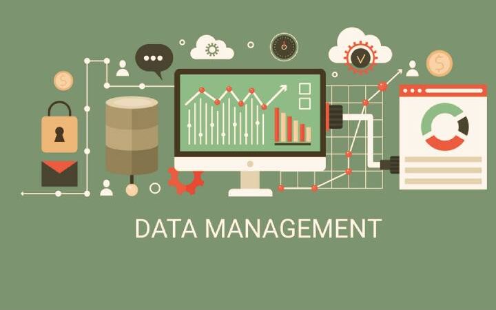 What Is A Data Management And Why Do You Need It?